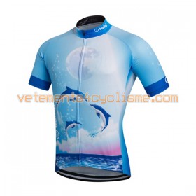 Maillot vélo 2016 Baishiqi N008