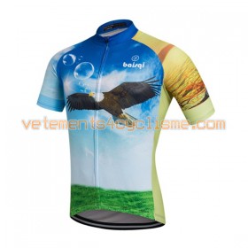 Maillot vélo 2016 Baishiqi N022
