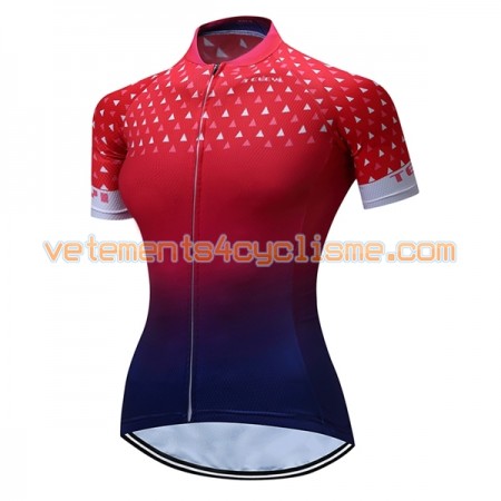 Maillot vélo Femme 2017 Teleyi N021